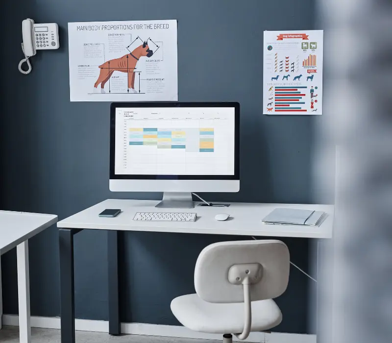 Google Ads para Veterinários