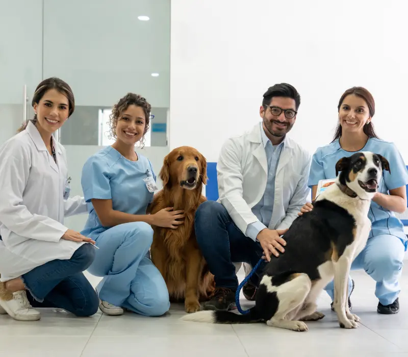Marketing Digital para Clínicas Veterinárias
