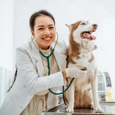 Criação de Sites para Clínicas Veterinárias