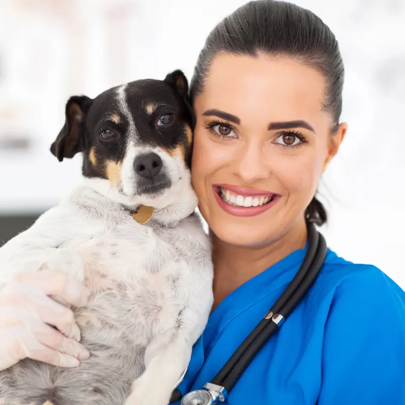 Criação de Sites para Clínicas Veterinárias